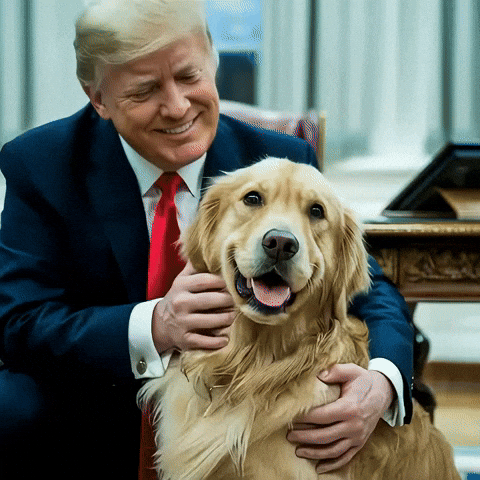 LibertyDog giphyupload trump liberty bonk GIF