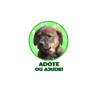 Adote Sticker by GARRA