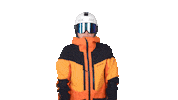 Winter Ski Sticker by sebastianzier
