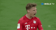 Bayern Munchen Success GIF by MolaTV