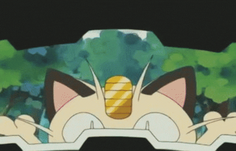 meowth GIF