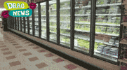 Drag Queen Lol GIF by NBC LX