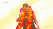 Wwe Wrestling GIF by USA Network