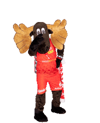 Look Handball Sticker by TUSEM Essen