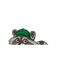 TrashPandaTribe nft secret quiet raccoon Sticker