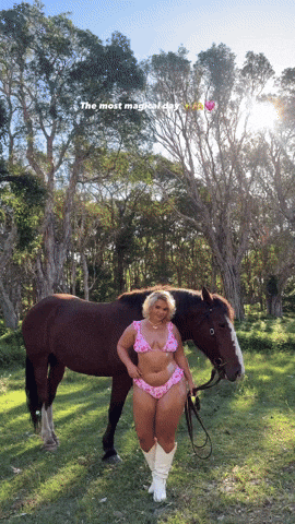 vilecoyote giphyupload GIF