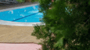 Halit GIF by Ay Yapım