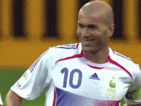 Zinedine Zidane GIF