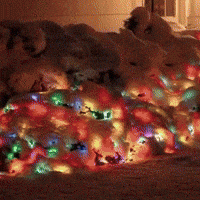 Merry Christmas Nostalgia GIF by Respective