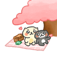 Spring Sakura Sticker