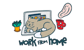 Cat Working Sticker by Χρυσός Οδηγός