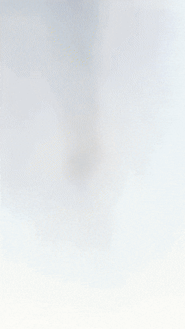 Finn Gunter GIF by Youtooz