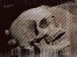 Death Lol GIF by PEEKASSO
