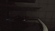 annapurnainteractive annapurnainteractive edithfinch GIF