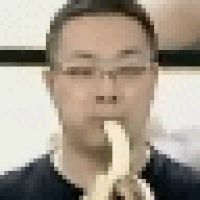 gifs for ants GIF