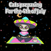 Independence Day Cat GIF by Party Icons
