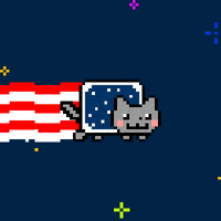 Independence Day Cat GIF