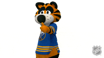 Ice Hockey Thumbs Up GIF by NHL