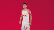 Oh Yeah Yes GIF by RB Leipzig