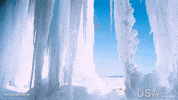 america wild GIF by Visit The USA