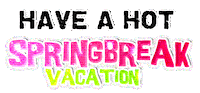spring break Sticker