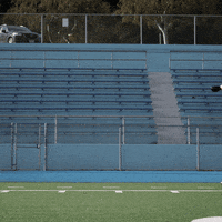 Mascot GIF by Crash Bandicoot