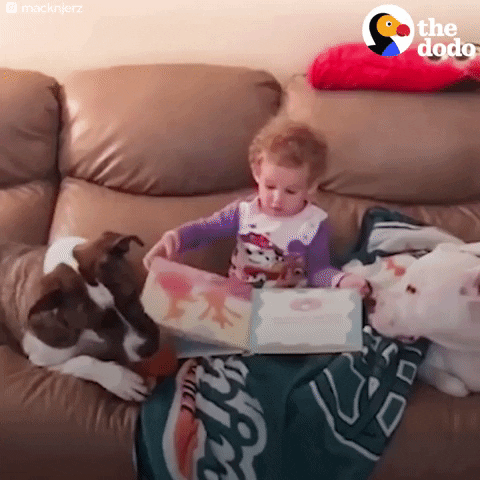 dog baby GIF by The Dodo