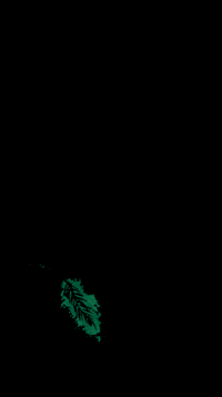 Cyandroid_ flower green rose garden GIF