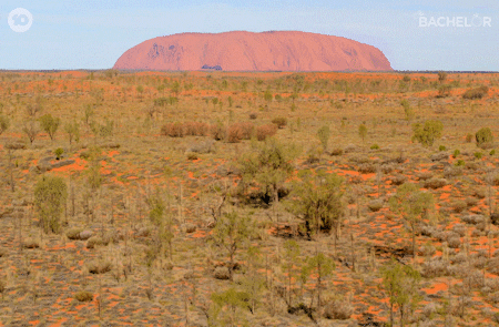 Northern Territory Aussie GIF by The Bachelor Australia