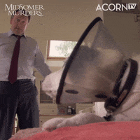 Woof Dissapointed GIF by Acorn TV