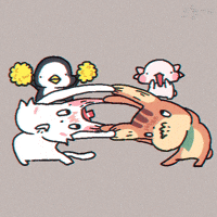 odolgae fight 오돌개 odolgae GIF