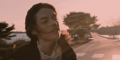 Driving Portland Maine GIF by Genevieve Stokes