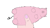 Loop Pig Sticker by prosarapi