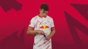 Energy Drink Sport GIF by RB Leipzig