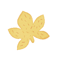 haba_pro_official cartoon fall yellow orange Sticker