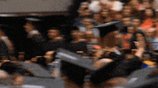 northernillinois graduation grad graduate huskies GIF