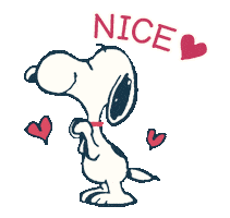 Dog Ok Sticker