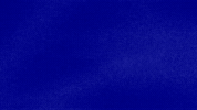 You Go Sister GIF by Jeopardy!