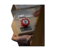 Sticker by Miracle Workers