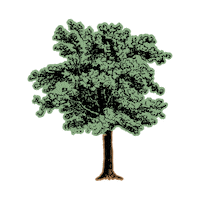 AngelsEnvy angelsenvy 14 whisky 15 neat 16 trees Sticker