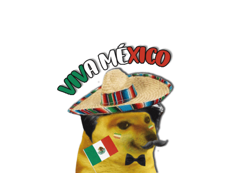 Mexico Fiesta Sticker by inestampable