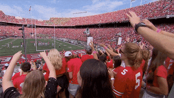 Ohio State Buckeyes Football GIF by Ohio State Athletics