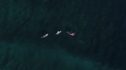 water sports sport GIF by World Surf League