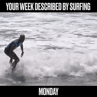 water sports surfing GIF by World Surf League