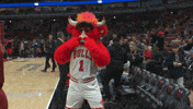 Benny The Bull GIF by Chicago Bulls