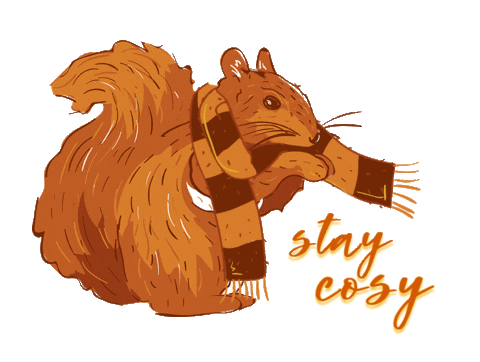 shopdixi giphyupload fall autumn squirrel Sticker
