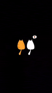 Gato GIF