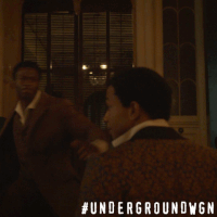 wgn america fight GIF by Underground