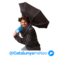 Sol Fred Sticker by catalunyadiari