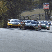 Mount Panorama Lol GIF by Supercars Championship